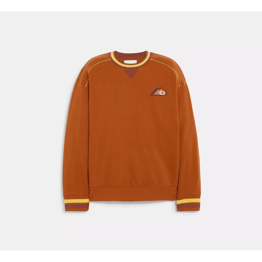 Coach FW22 Forever Caramel Logo Crewneck Sweatshirt Mens XS Brown CD209 - Picture 9 of 9